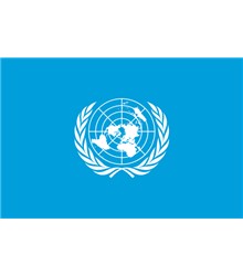 Organização das Nações Unidas