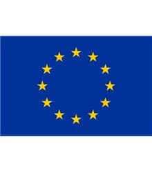 Constituição Europeia