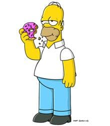 Homer Simpson Homer Simpson