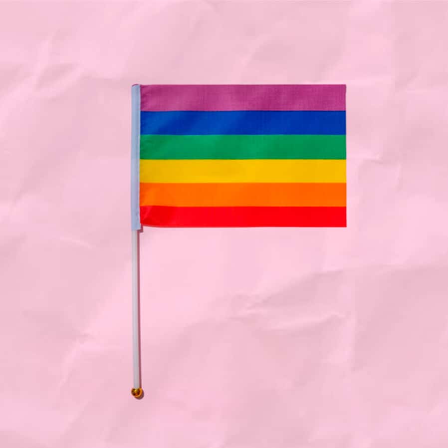 Os direitos LGBTQIA+: as necessidades da comunidade frente à Constituição