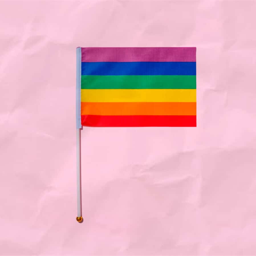 Brasil e Japão: Alguns apontamentos sobre o reconhecimento dos direitos das pessoas transgêneros