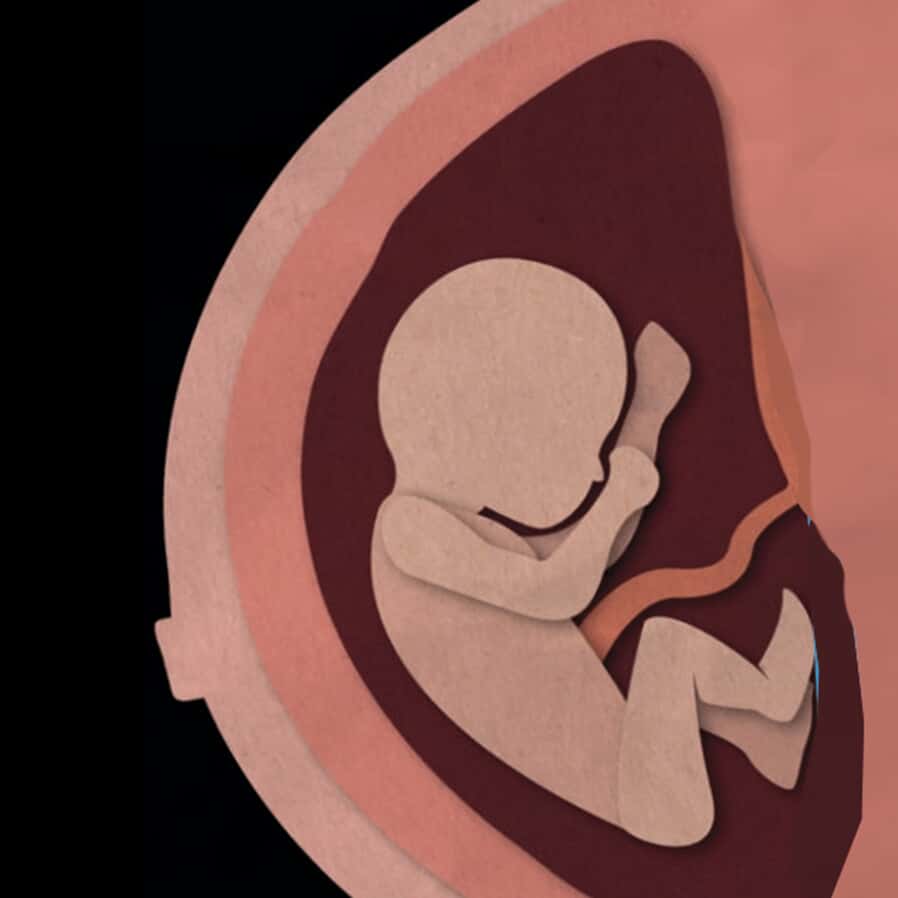 TJ/SP recusa pedido de casal que pleiteou informações sobre o sexo do embrião após fertilização in vitro