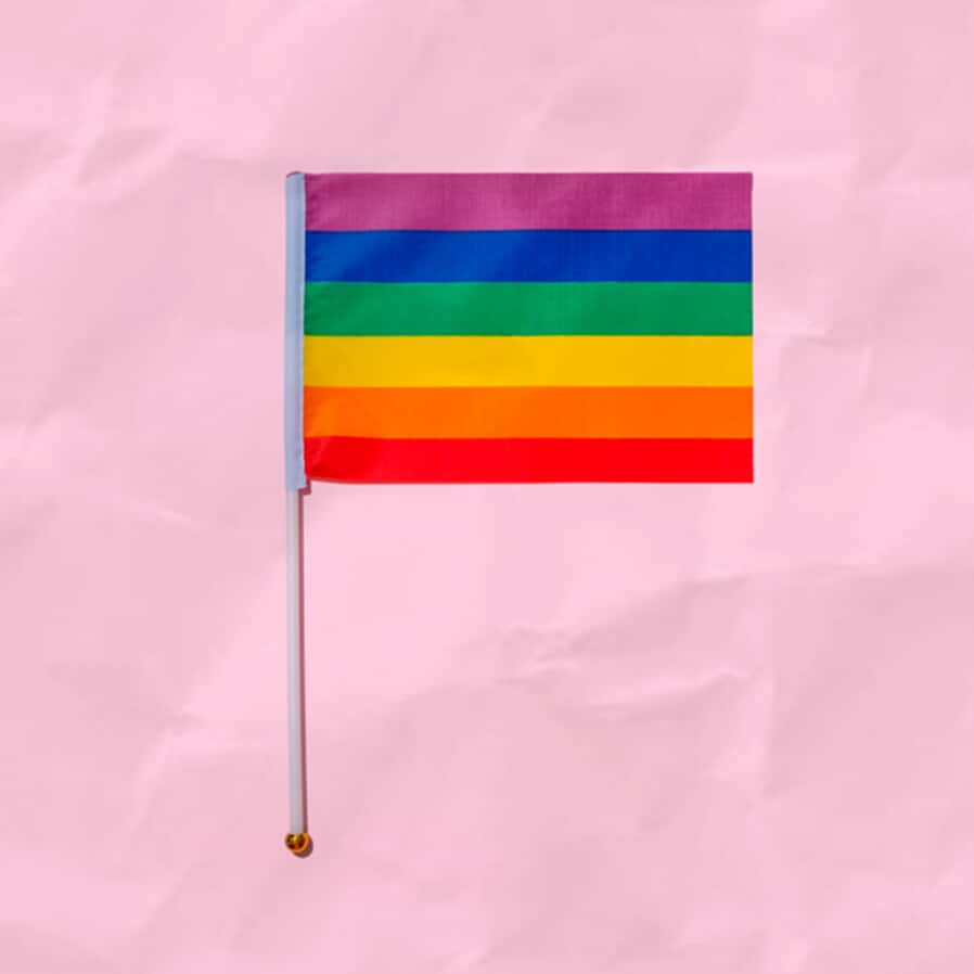 Visibilidade e orgulho: Pelo direito à plena cidadania das famílias LGBTQIAP+