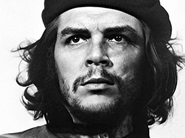 Baú migalheiro Baú migalheiro