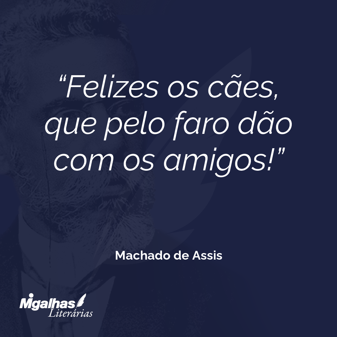 Felizes os cães, que pelo faro dão com os amigos!