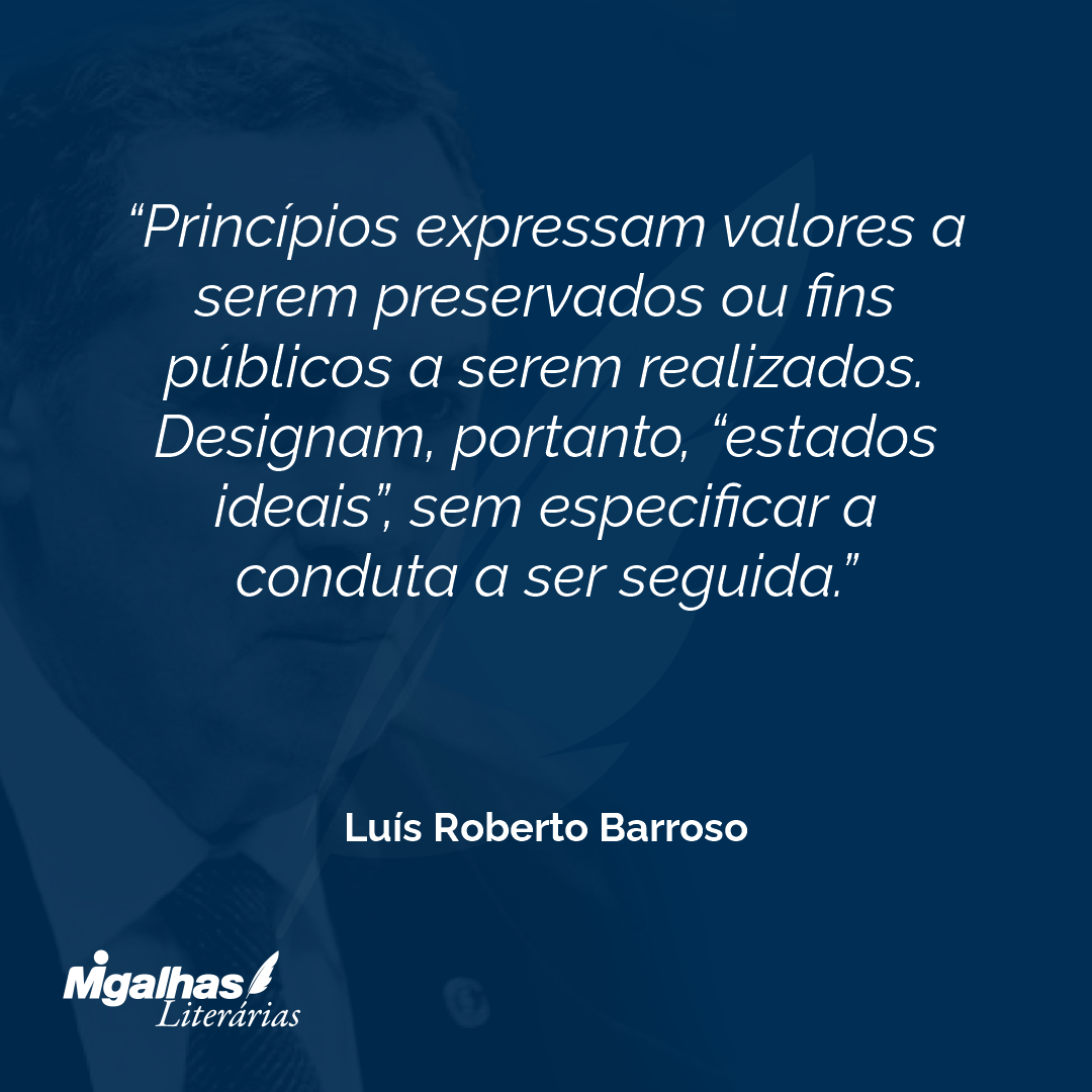 Princípios expressam valores a serem preservados ou fins públicos a serem realizados. Designam, portanto, "estados ideais", sem especificar a conduta a ser seguida. 