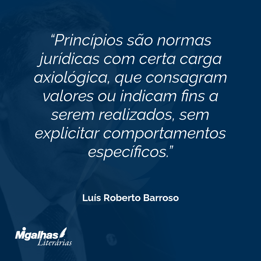 Princípios são normas jurídicas com certa carga axiológica, que consagram valores ou indicam fins a serem realizados, sem explicitar comportamentos específicos.