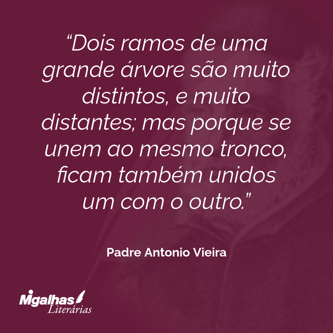 Dois ramos de uma grande árvore são muito distintos, e muito distantes; mas porque se unem ao mesmo tronco, ficam também unidos um com o outro.