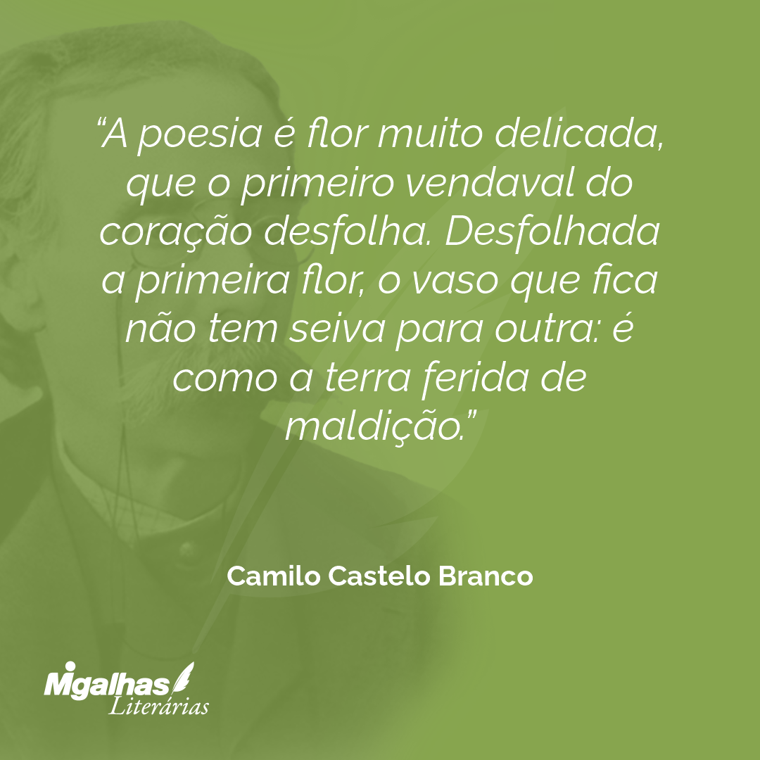 A poesia é flor muito delicada, que o primeiro vendaval do coração desfolha. Desfolhada a primeira flor, o vaso que fica não tem seiva para outra: é como a terra ferida de maldição.