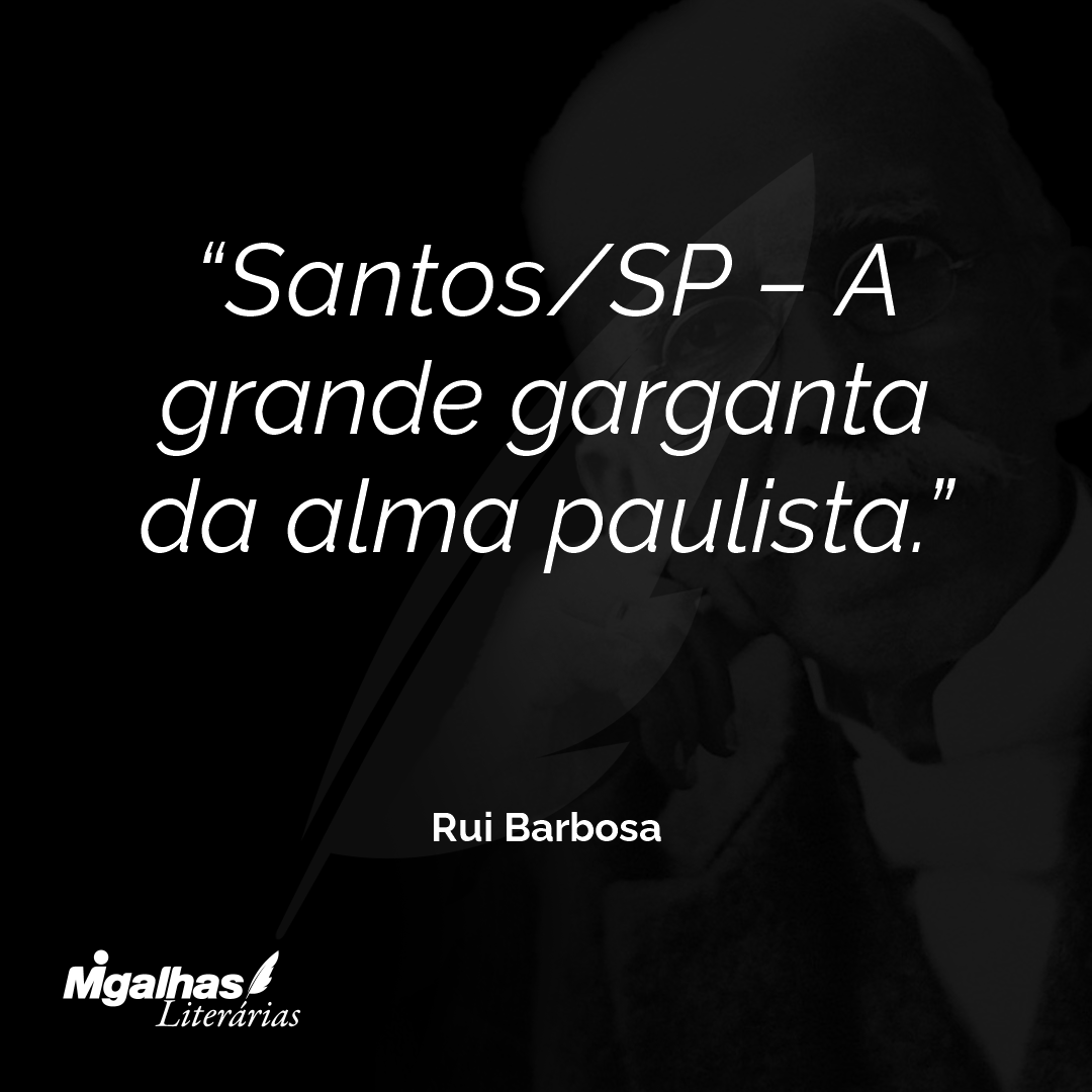 Santos/SP - A grande garganta da alma paulista.