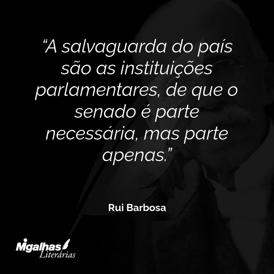 A salvaguarda do país são as instituições parlamentares, de que o senado é parte necessária, mas parte apenas.